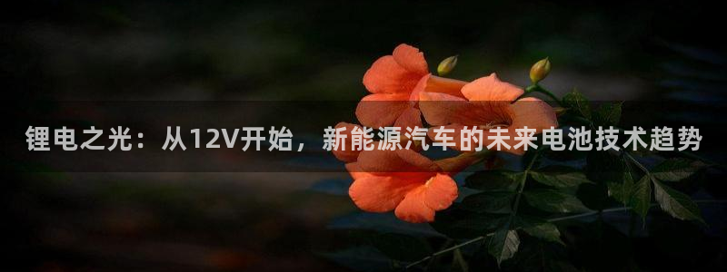 okpay钱包的方法：锂电之光：从12V开始，新能源汽车的未来电池技术趋势