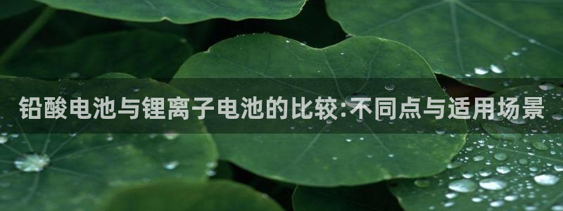 okpay钱包在中国合法吗：铅酸电池与锂离子电池的比较:不同点与适用场景